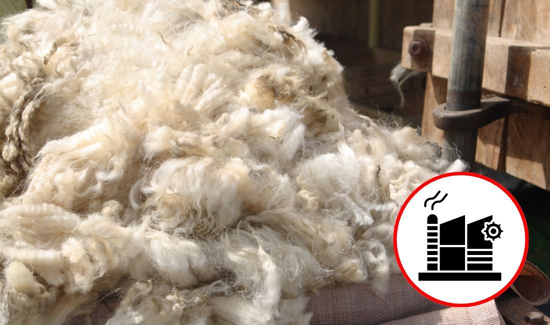 Developing England’s Economic