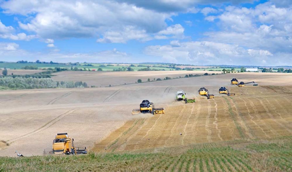 Selling Off Our Green Future